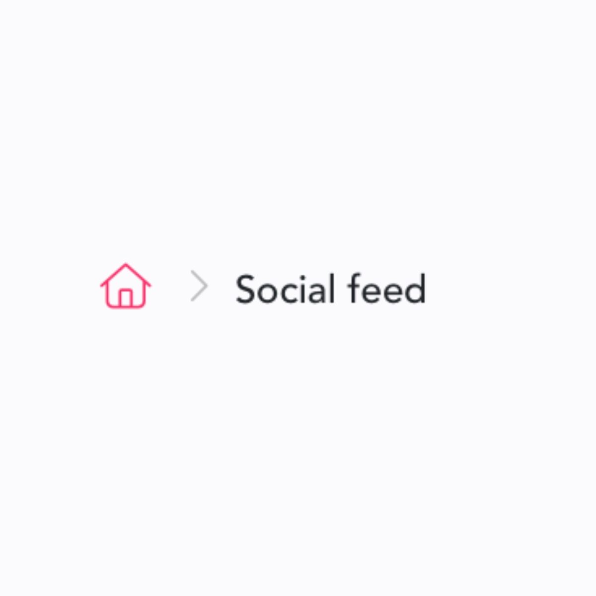 Socialfeed eindbaas Apprendo